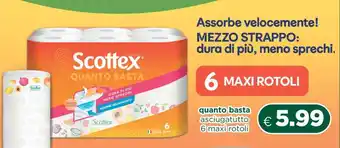 Scottex Quanto Basta