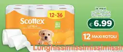 Acqua & Sapone SCOTTEX La Maxi offerta