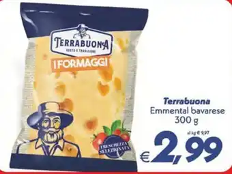 Terrabuona Emmenthal bavarese