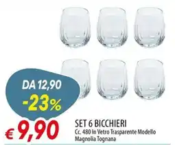 IperFamila Set 6 bicchieri Magnolia Tognana offerta