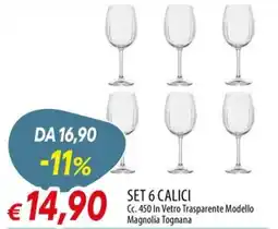 IperFamila Set 6 Calici Magnolia Tognana offerta