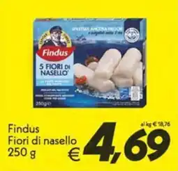 Iper Super Conveniente Findus Fiori di nasello offerta