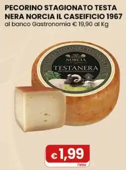 Gala Supermercati Pecorino stagionato testa nera Norcia offerta