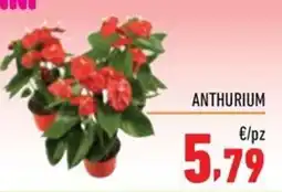 Maxi Supermercati Anthurium offerta