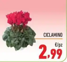 Maxi Supermercati Ciclamino offerta