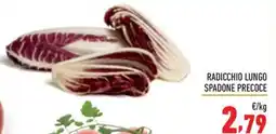 Maxi Supermercati Radicchio lungo spadone precoce offerta