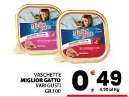 Despar Sicilia Vaschette Miglior Gatto offerta