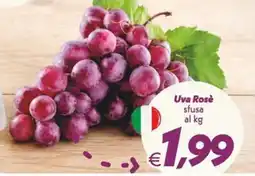 Iper Super Conveniente Uva Rosè sfusa offerta