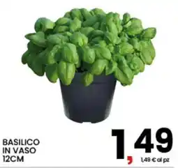 Interspar Basilico in vaso 12cm offerta