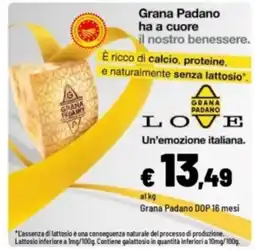 Iper La Grande Grana Padano offerta
