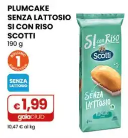 Gala Supermercati Plumcake senza lattosio con riso Scotti offerta