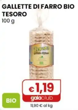 Gala Supermercati Gallette di farro bio Tesoro offerta