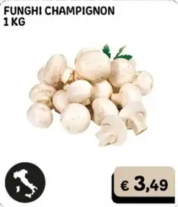 Gala Supermercati Funghi champignon offerta