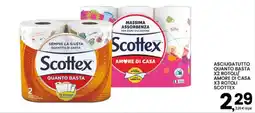 Interspar Asciugatutto Scottex offerta
