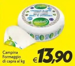 Iper Super Conveniente Campina Formaggio di capra offerta
