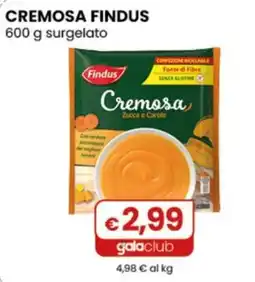Gala Supermercati Cremosa Findus offerta