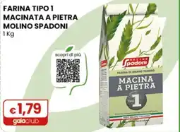 Gala Supermercati Farina tipo 1 macinata a pietra Molino Spadoni offerta
