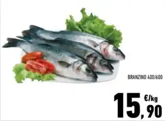 Branzino 400/600