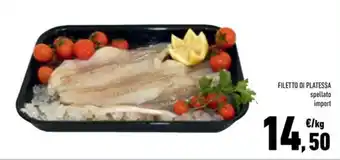 Filetto di platessa spellato import