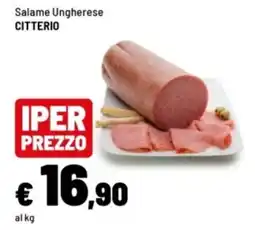 Iper La Grande Salame Ungherese Citterio offerta