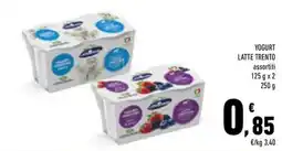 Conad Margherita Yogurt Latte Trento offerta