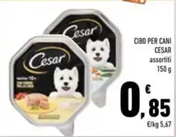 Conad Superstore Cibo per cani Cesar assortiti offerta