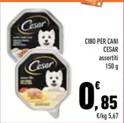 Conad City Cibo per cani Cesar assortiti offerta