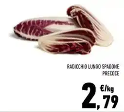 Conad Superstore Radicchio lungo spadone precoce offerta