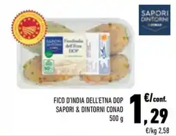 Conad City Fico d'india dell'Etna DOP Sapori & Dintorni Conad offerta