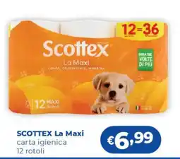 Acqua & Sapone Scottex La Maxi carta igienica offerta