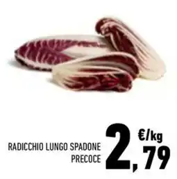 Conad City Radicchio lungo spadone precoce offerta