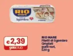 Gala Supermercati Rio mare Filetti di Sgombro Grigliati offerta