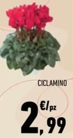 Conad City Ciclamino offerta