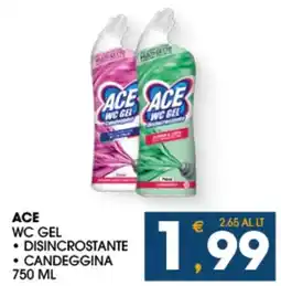 SeBón Supermercati Ace wc gel candeggina offerta