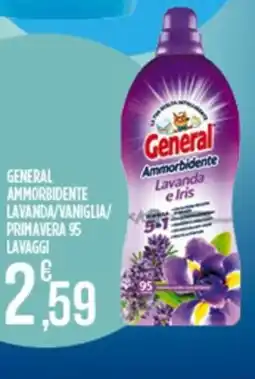 Euroesse General Ammorbidente Lavanda e Iris offerta