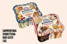 Euroesse Sammontana Sorbettiera Vari Gusti offerta