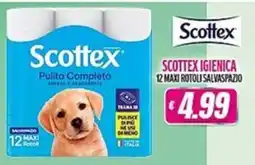 Vitulano Drugstore Scottex Pulito Completo offerta