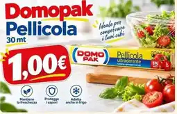 Sanitaria Demma Domopak Pellicola offerta