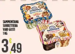 Supermercato Pollio Sammontana Sorbettiera Vari Gusti offerta