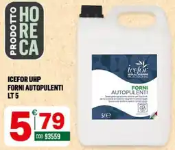 Tutto Risparmio Cash&Carry Icefor forni autopulenti offerta