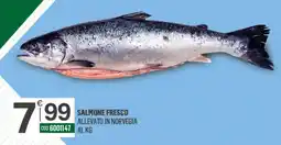 Tutto Risparmio Cash&Carry Salmone fresco offerta