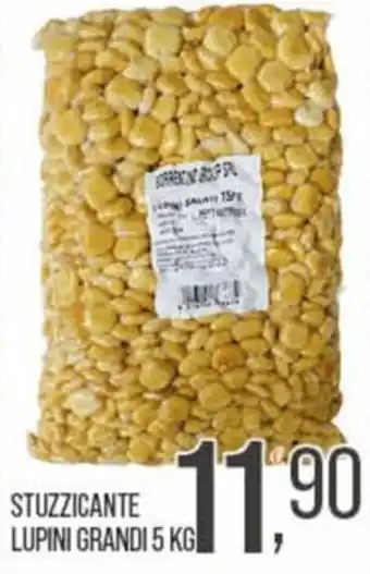 Stuzzicante lupini grandi