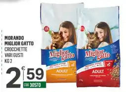 Tutto Risparmio Cash&Carry Miglior gatto offerta