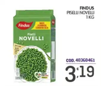 Eurocash Findus Piselli Novelli offerta