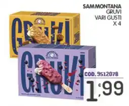 Eurocash Sammontana Gruvi offerta