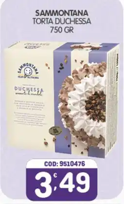 Eurocash Sammontana torta duchessa offerta