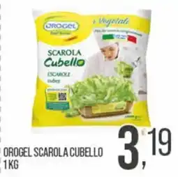 Cash pro Orogel scarola cubello offerta