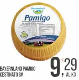 Cash pro Bavaria Pamigo offerta