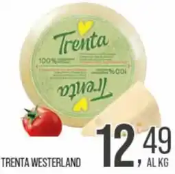 Cash pro Trenta Westerland offerta