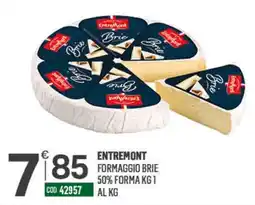 Tutto Risparmio Cash&Carry Formaggio Brie EntreMont offerta